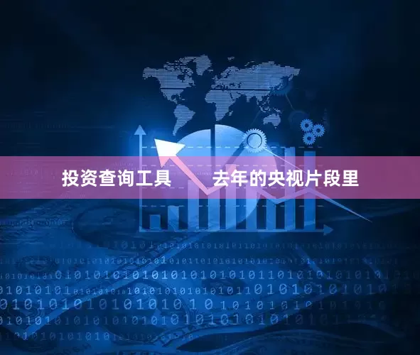投资查询工具        去年的央视片段里