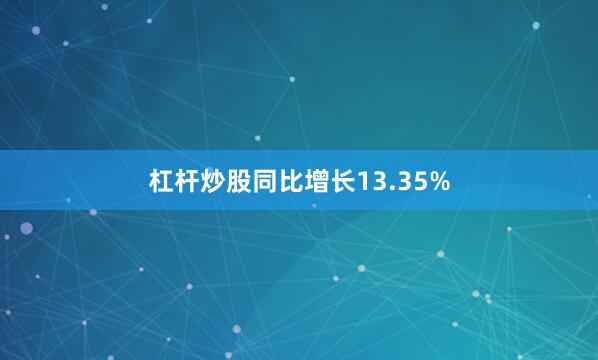 杠杆炒股同比增长13.35%