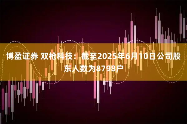 博盈证券 双枪科技：截至2025年6月10日公司股东人数为8798户